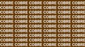 Foto ilustrativa de la nota titulada Solo alguien con agudeza visual puede encontrar la palabra 'Cofre' en menos de 10 segundos