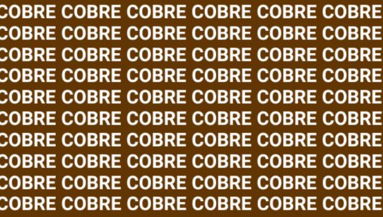 Solo alguien con agudeza visual puede encontrar la palabra 'Cofre' en menos de 10 segundos