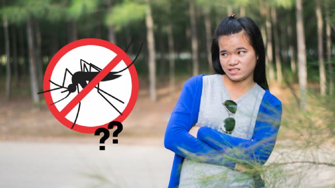 Toma asiento antes de conocer al mosquito más peligroso de todos