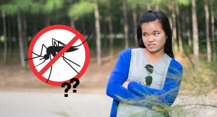 Toma asiento antes de conocer al mosquito más peligroso de todos