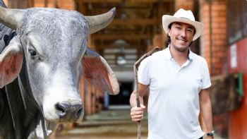 Toma asiento antes de conocer cuánto cuesta una vaca cebú en Colombia