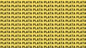 Foto ilustrativa de la nota titulada Solo una persona con vista de halcón puede encontrar la palabra 'Playa' en solo 10 segundos