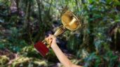 Foto ilustrativa de la nota titulada Ni Río Puré ni Cahuinarí: este es el importante parque colombiano que recibió un reconocimiento internacional