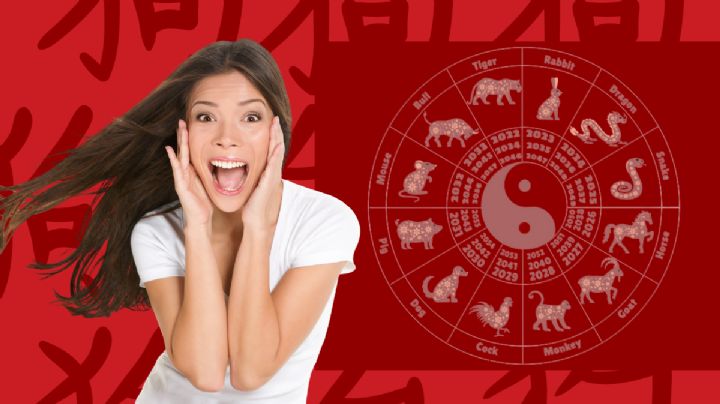 Estas son las predicciones del Horóscopo Chino de HOY domingo 4 de mayo de abril en el amor, salud y dinero, según la astrología china