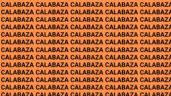 Foto ilustrativa de la nota titulada Solo una persona astuta puede encontrar la palabra 'Alabanza' en menos de 10 segundos