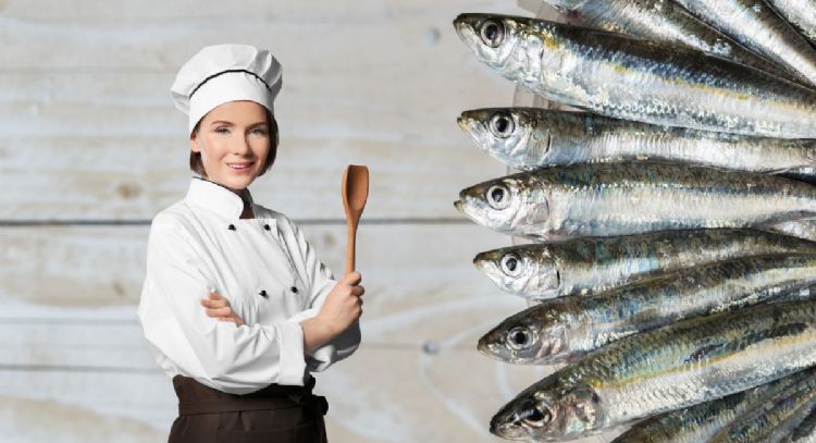 Cazuela de sardinas, aprende a hacer esta exquisita receta en solo 5 pasos