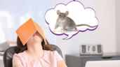 Foto ilustrativa de la nota titulada Qué significa para la psicología que alguien sueñe que aparecen ratas