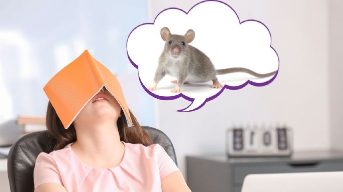Qué significa para la psicología que alguien sueñe que aparecen ratas