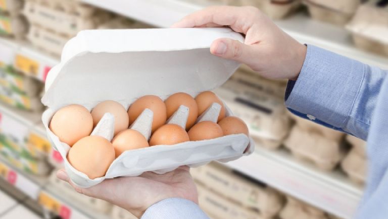 los huevos que venden en los supermercados de colombia provienen de gallinas explotadas y maltratadas en jaulas de bateria