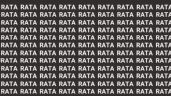 Foto ilustrativa de la nota titulada: Solo la mente de un maestro puede encontrar la palabra 'Pata' en menos de 5 segundos