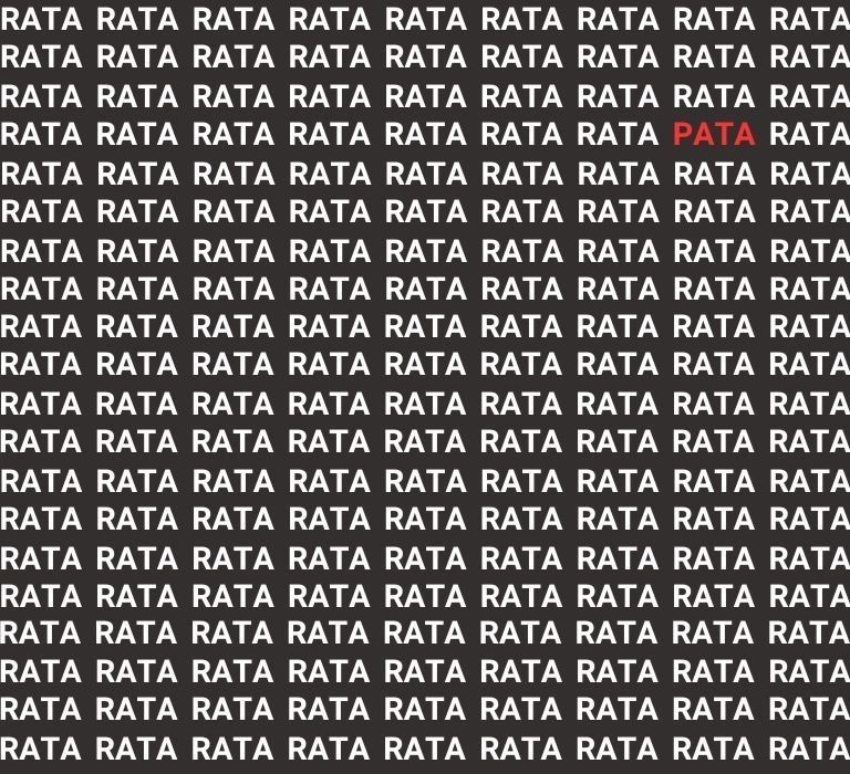resolucion del acertijo visual con la palabra pata