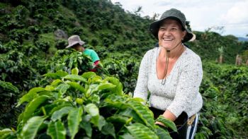 Se confirmó una excelente noticia para miles de agricultores en Colombia