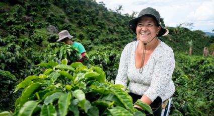 Se confirmó una excelente noticia para miles de agricultores en Colombia