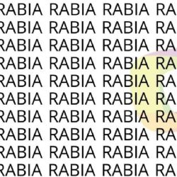 Solo las personas con una vista muy entrenada puede encontrar la palabra 'Rubia' en menos de 7 segundos