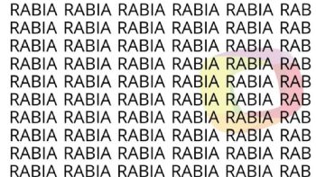 Solo las personas con una vista muy entrenada puede encontrar la palabra 'Rubia' en menos de 7 segundos