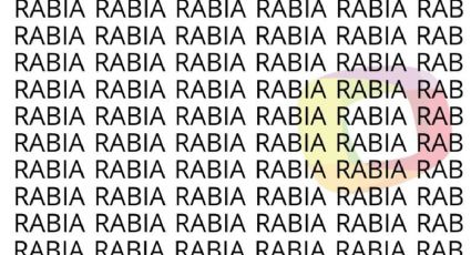 Solo las personas con una vista muy entrenada puede encontrar la palabra 'Rubia' en menos de 7 segundos