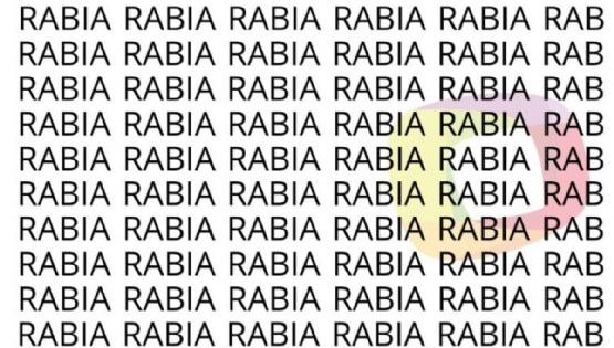 Solo las personas con una vista muy entrenada puede encontrar la palabra 'Rubia' en menos de 7 segundos