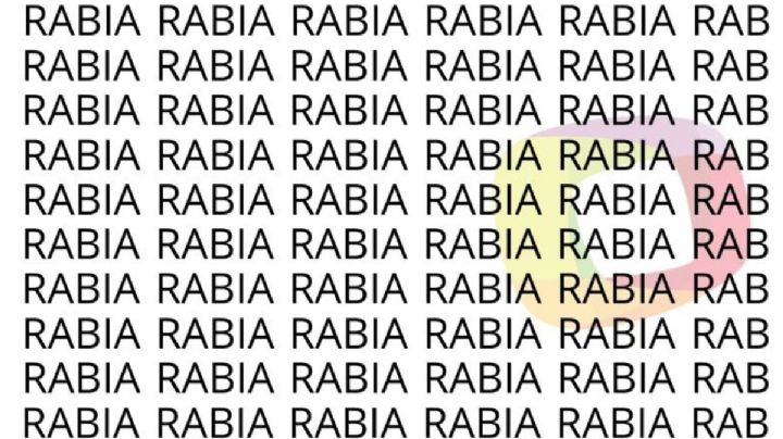 Solo las personas con una vista muy entrenada puede encontrar la palabra 'Rubia' en menos de 7 segundos