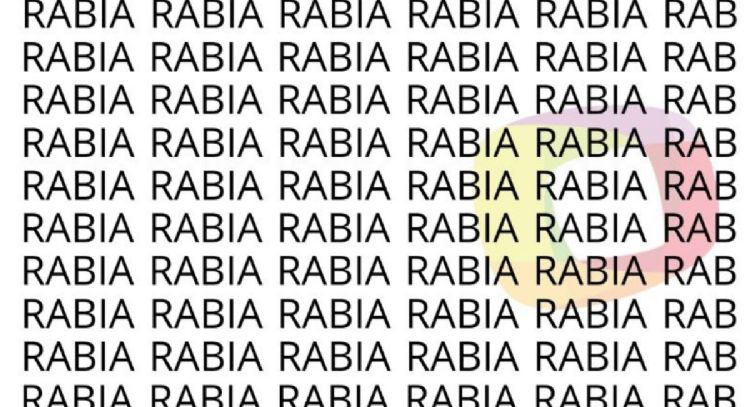 Solo las personas con una vista muy entrenada puede encontrar la palabra 'Rubia' en menos de 7 segundos