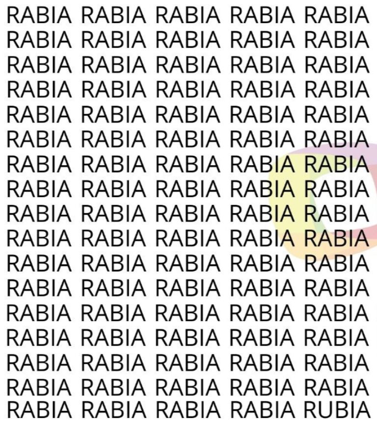 acertijo visual con repeticion de palabras