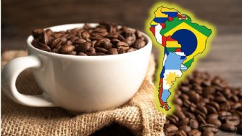 Toma aire antes de conocer cuál es el país de Sudamérica que superó a Colombia en exportación de café
