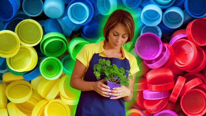 Si tienes tapas de gaseosas que ya no usas, tienes un tesoro para tu jardín