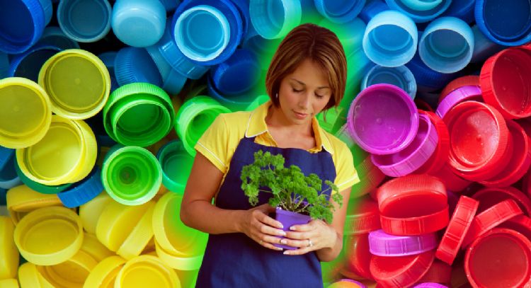 Si tienes tapas de gaseosas que ya no usas, tienes un tesoro para tu jardín
