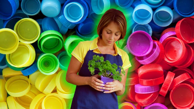 Si tienes tapas de gaseosas que ya no usas, tienes un tesoro para tu jardín
