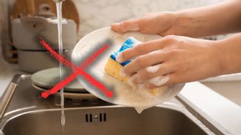 La esponja de cocina murió: esta es la alternativa que es mucho más natural y pronto la reemplazará