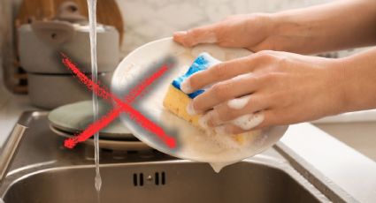 La esponja de cocina murió: esta es la alternativa que es mucho más natural y pronto la reemplazará