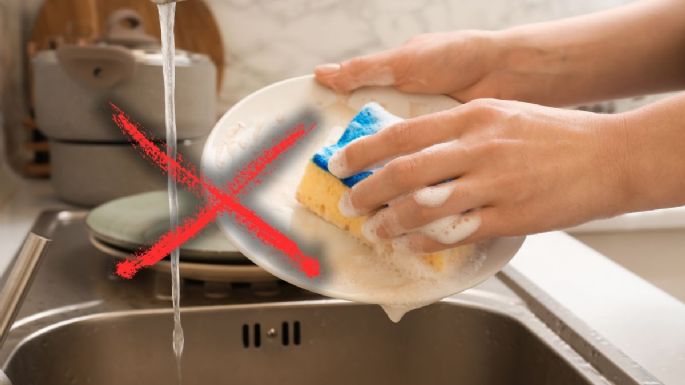 La esponja de cocina murió: esta es la alternativa que es mucho más natural y pronto la reemplazará