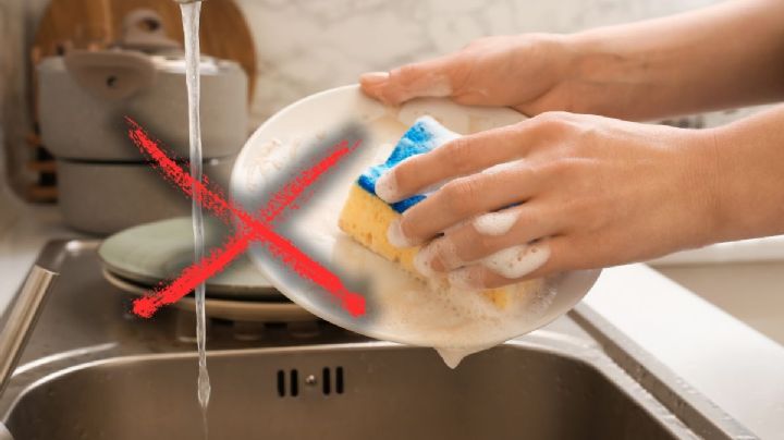 La esponja de cocina murió: esta es la alternativa que es mucho más natural y pronto la reemplazará
