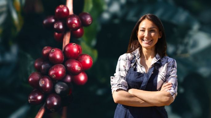 Cómo cultivar tu planta de café en casa usando solo un poco de tierra y 1 maceta
