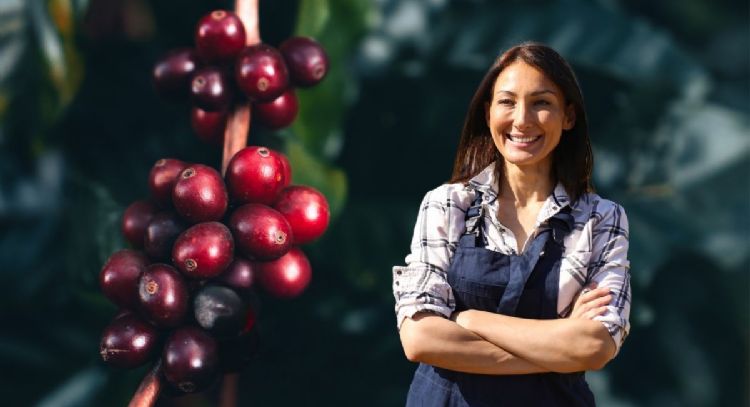 Cómo cultivar tu planta de café en casa usando solo un poco de tierra y 1 maceta