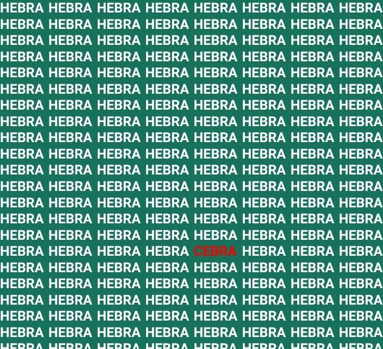 resolucion del acertijo con la palabra cebra