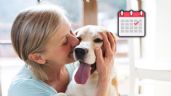 Foto ilustrativa de la nota titulada Se confirmó una feliz noticia para los dueños de perros y gatos a partir de este 10 de junio en Bogotá