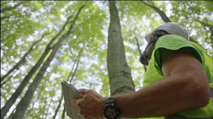 ¿Quiere trabajar ayudando al medioambiente? Estas son las vacantes disponibles en Colombia