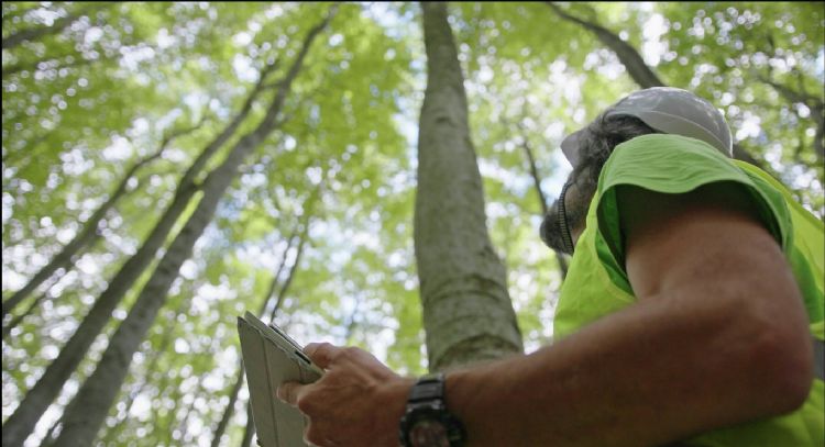 ¿Quiere trabajar ayudando al medioambiente? Estas son las vacantes disponibles en Colombia