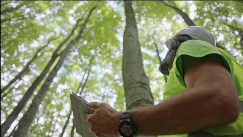 ¿Quiere trabajar ayudando al medioambiente? Estas son las vacantes disponibles en Colombia
