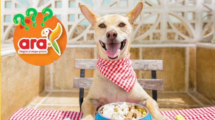 Tiendas Ara: el producto que no puede faltarle a tu perro y está con descuento hasta el 16 de julio