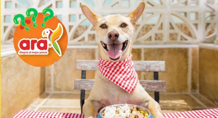 Tiendas Ara: el producto que no puede faltarle a tu perro y está con descuento hasta el 16 de julio
