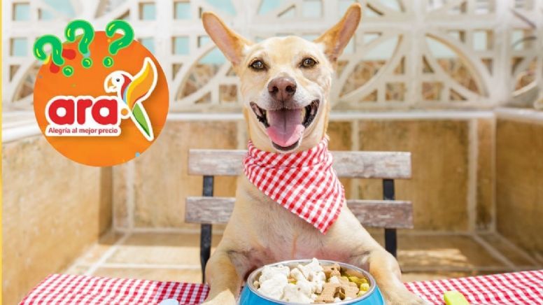 Tiendas Ara: el producto que no puede faltarle a tu perro y está con descuento hasta el 16 de julio