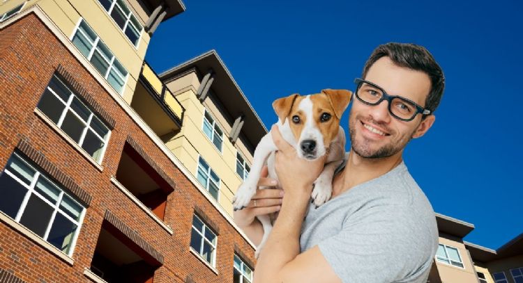 El importante cambio que habrá sobre la tenencia de mascotas en conjuntos residenciales tras la sanc
