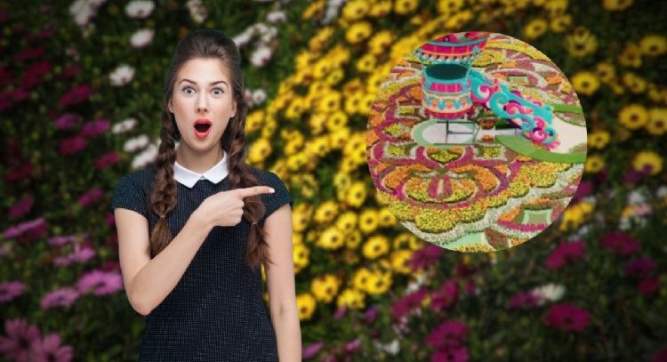 Ni Cali ni Bogotá: en qué ciudad se encuentra el tapete de flores más grande de Colombia