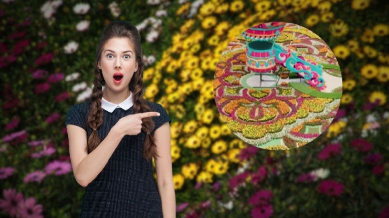 Ni Cali ni Bogotá: en qué ciudad se encuentra el tapete de flores más grande de Colombia