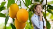 Foto ilustrativa de la nota titulada: Ni manguero ni manganero: así se llama realmente el árbol de mango y no todos lo saben