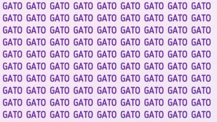 Solo alguien con vista de halcón puede encontrar la palabra 'Rato' en menos de 5 segundos