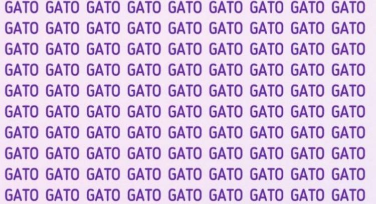 Solo alguien con vista de halcón puede encontrar la palabra 'Rato' en menos de 5 segundos