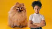 Foto ilustrativa de la nota titulada: Nueva ley en Colombia endurece normas para dueños de perros: estas son las multas que podrías recibir