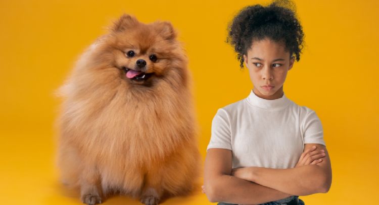 Nueva ley en Colombia endurece normas para dueños de perros: estas son las multas que podrías recibir